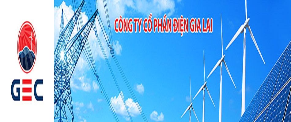 Công Ty Cổ Phần Điện Gia Lai